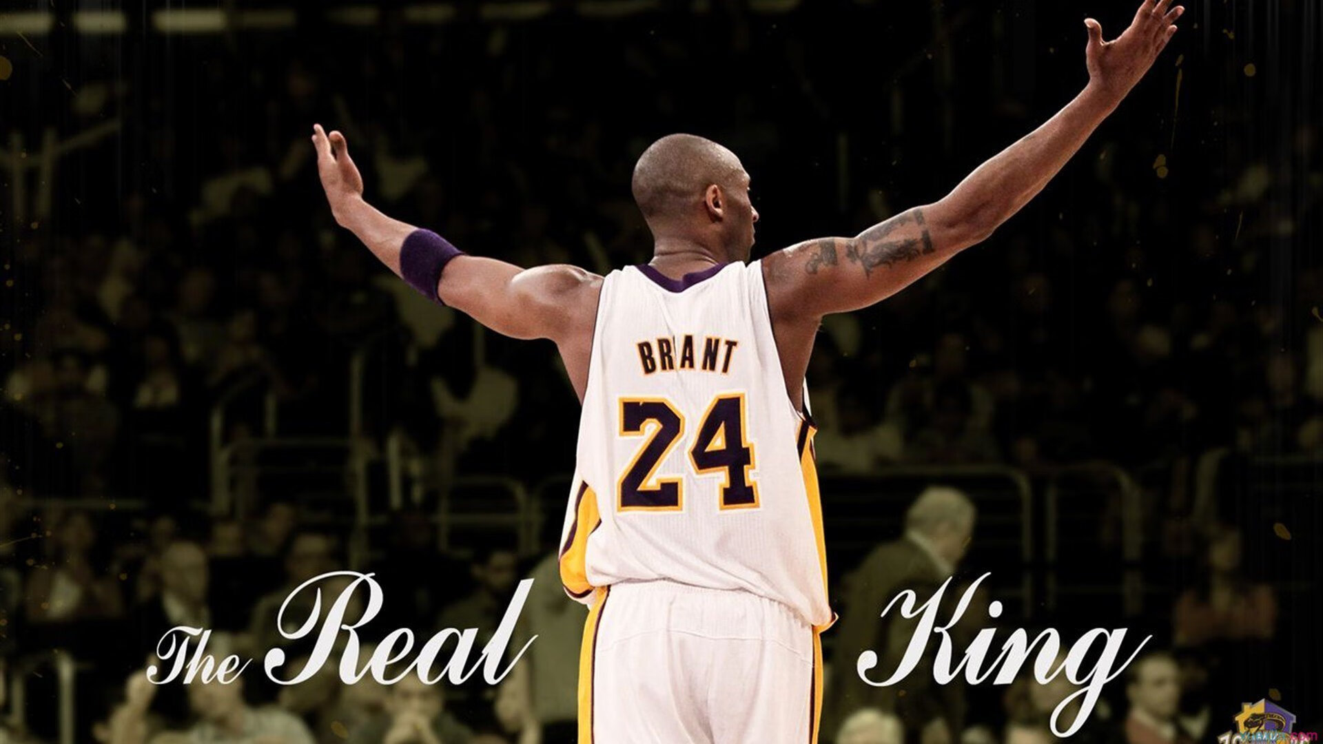 澳网转会风云：菲尼克斯太阳盯上锋线强援，马龙或成交易筹码